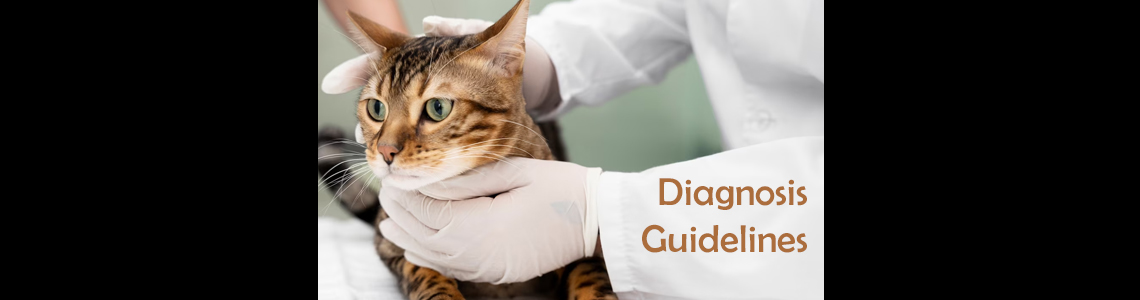 Diagnosis and IRIS Guidelines for CKD